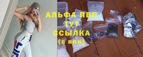 стаф Верхний Тагил