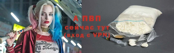 стаф Верхний Тагил