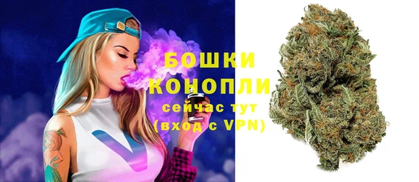 стаф Верхний Тагил