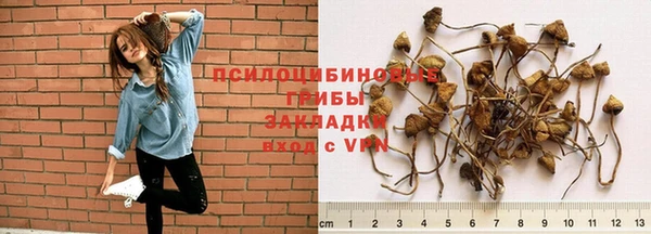 стаф Верхний Тагил