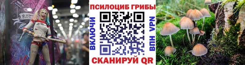 Псилоцибиновые грибы Psilocybe Рязань